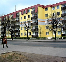 BUDEX zdjęcie galeria 09